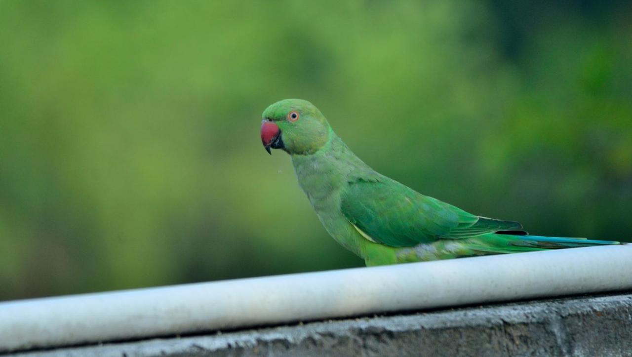 Nature Resor Agra (Uttar Pradesh)